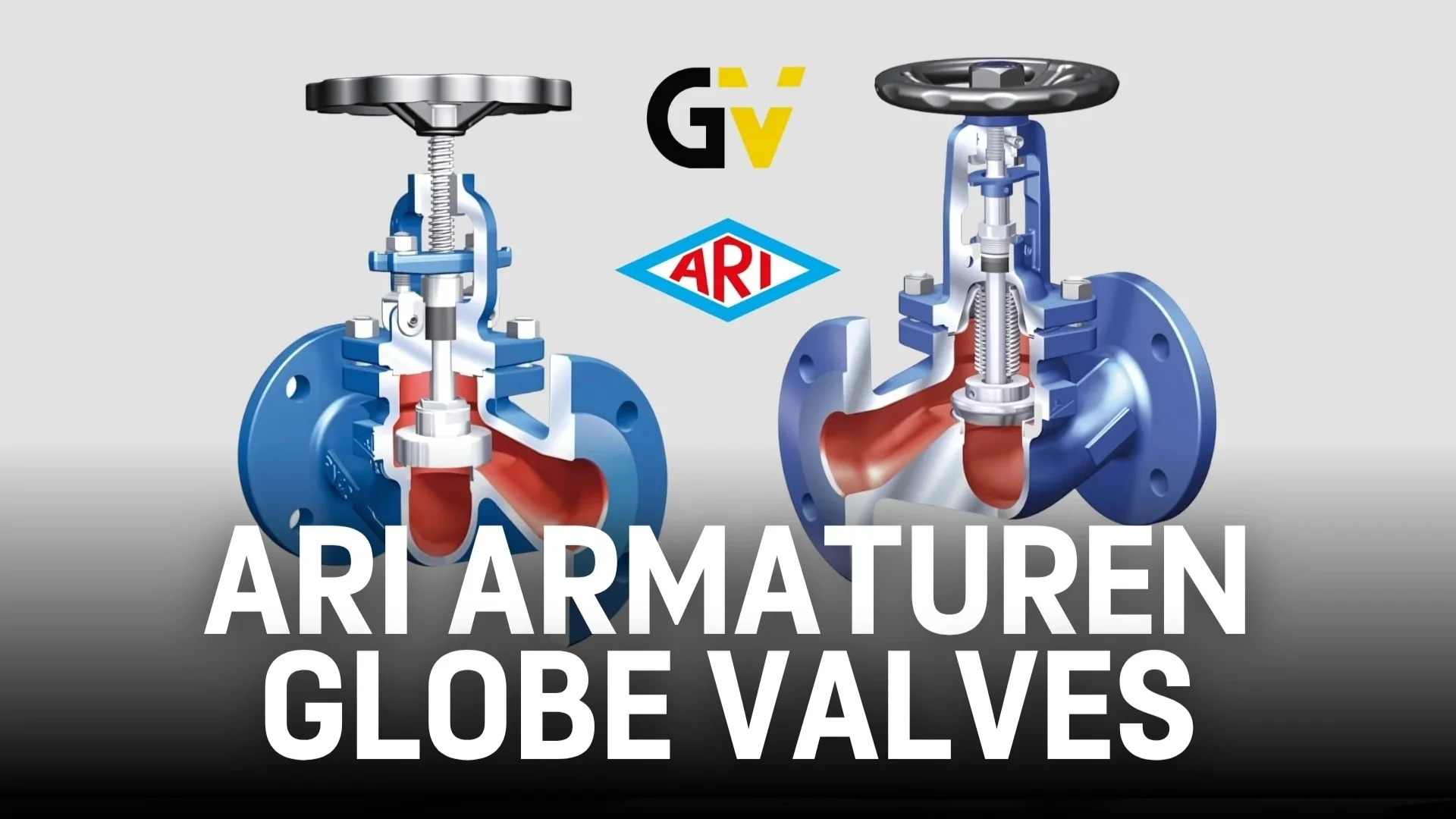 Ari Armaturen Globe Valves Blog.jpg