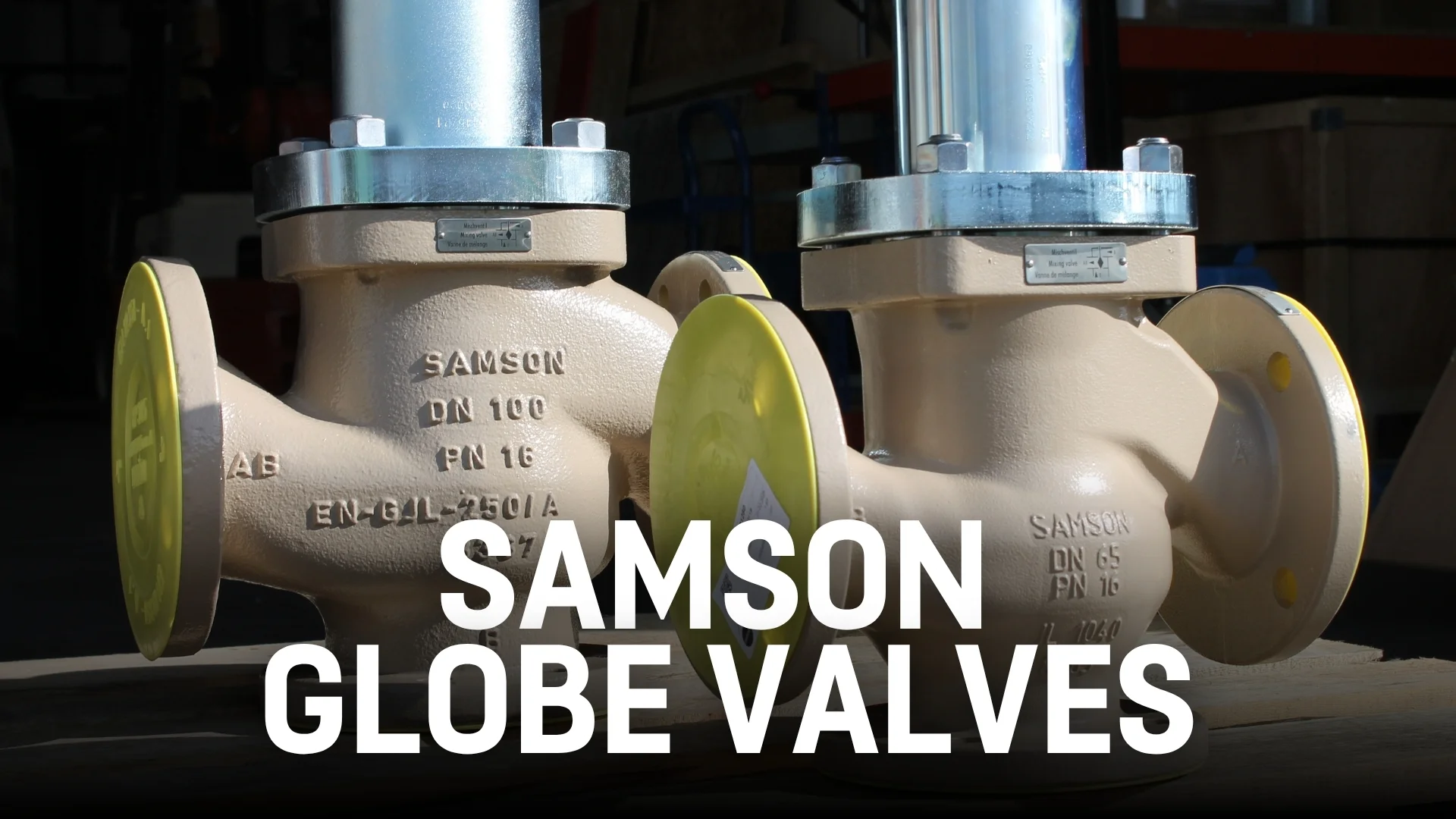 Samson Globe Valve Blog Banner.jpg