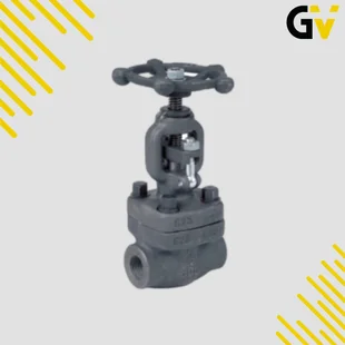 Forged-Steel-Socket-Weld-Globe-Valve-GV-7723.jpg