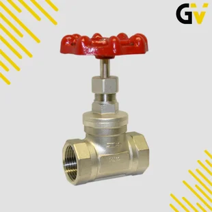 Stainless-Steel-Screwed-BSPP-Globe-Valve---GV-6700.jpg